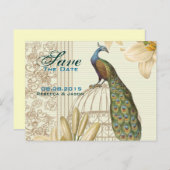 Vintage lily floral peacock wedding save the date announcement postcard (Front/Back)