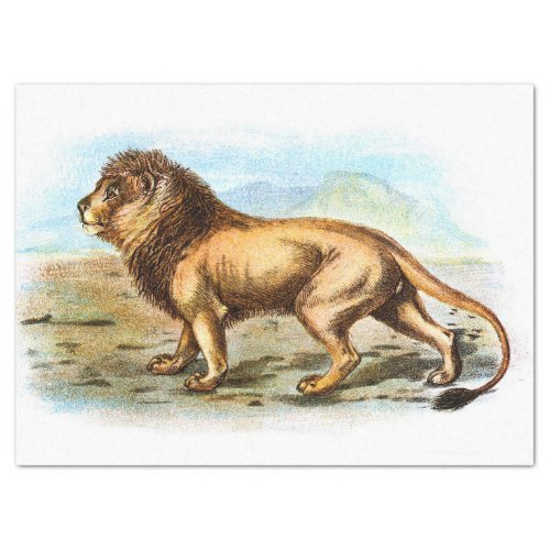 Vintage Lion Illustration Decoupage Tissue Paper