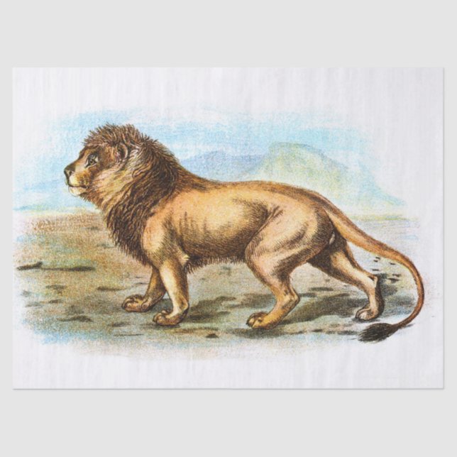 Vintage Lion Illustration Decoupage Tissue Paper (Front)