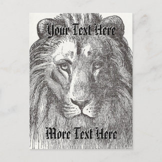 Vintage Lion Postcard