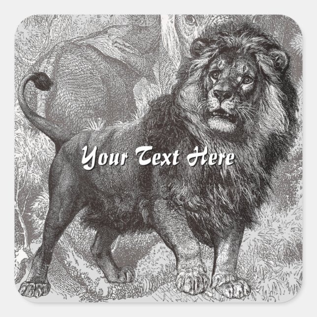 Vintage Lion Stickers (Front)