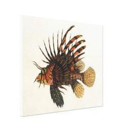 Vintage Lionfish Fish, Marine Ocean Life Animal Canvas Print