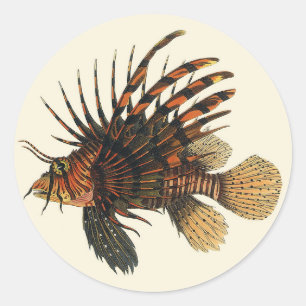 Vintage Lionfish Fish, Marine Ocean Life Animal Classic Round Sticker