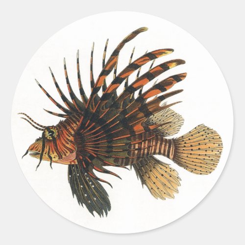 Vintage Lionfish Fish Marine Ocean Life Animal Classic Round Sticker