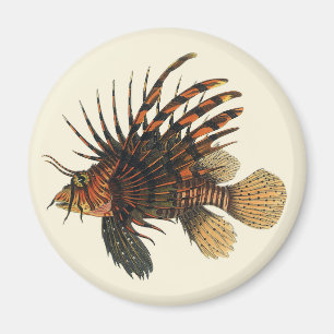 Vintage Lionfish Fish, Marine Ocean Life Animal Magnet