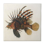 Vintage Lionfish Fish, Marine Ocean Life Animal Tile