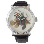 Vintage Lionfish Fish, Marine Ocean Life Animal Watch