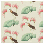 Vintage Little Hermit Hummingbird Fabric