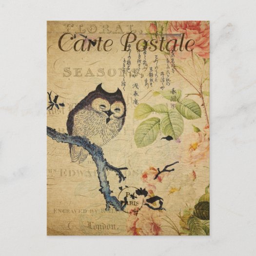 Vintage Little Owl Pink Roses French 