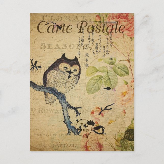 Vintage Little Owl Pink Roses French  Postcard (Front)