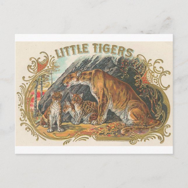 Vintage Little Tigers Postcard (Front)