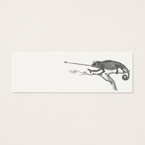 Vintage Lizard Chameleon Illustration Template Business Card Templates