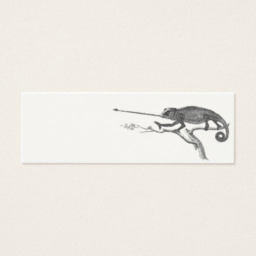 Customizable Vintage Lizard Chameleon Illustration Template Business Card Templates