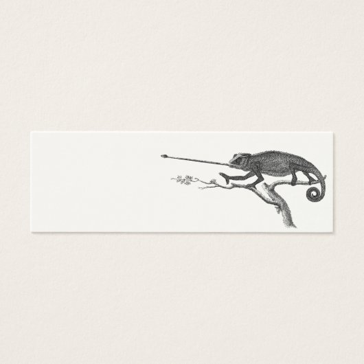 Vintage Lizard Chameleon Illustration Template (Front)