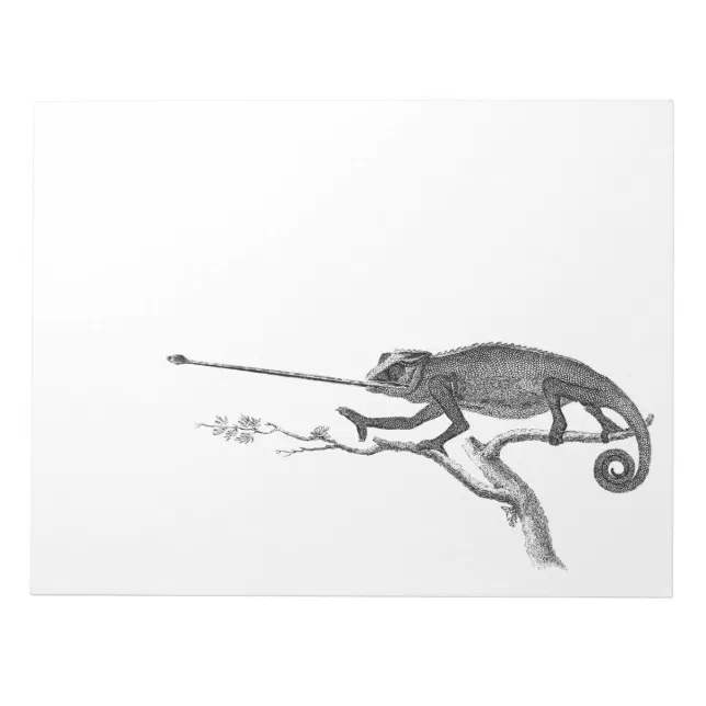 Vintage Lizard Chameleon Illustration Template Notepad | Zazzle