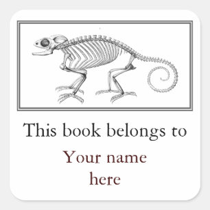 Vintage lizard skeleton bookplate