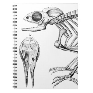 Vintage lizard skeleton notebook