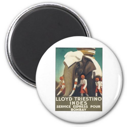 Vintage Lloyd Triestino India Magnet