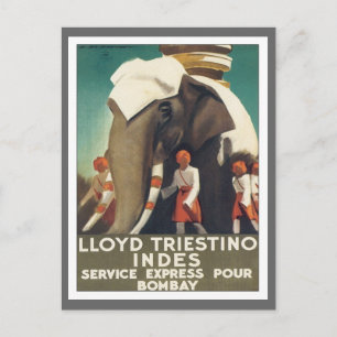 Vintage Lloyd Triestino India Postcard