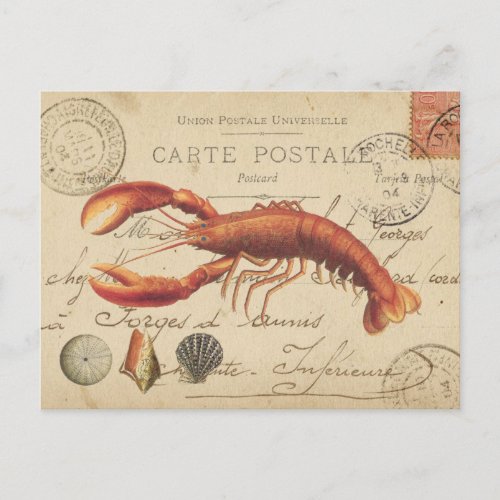 Vintage Lobster and seashells postcard