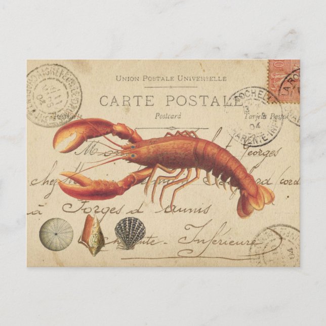 Vintage Lobster and seashells postcard (Front)