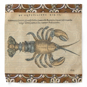 Vintage Lobster Illustration: Coastal Damask Bandana
