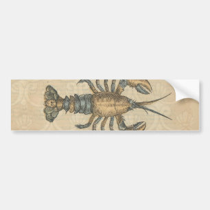 Vintage Lobster Illustration: Coastal Damask  Bumper Sticker