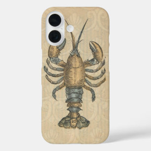 Vintage Lobster Illustration: Coastal Damask iPhone 16 Case
