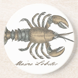 Vintage Lobster Illustration: Coastal Damask Drink Coaster