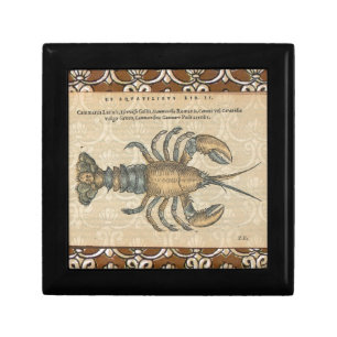 Vintage Lobster Illustration: Coastal Damask Gift Box