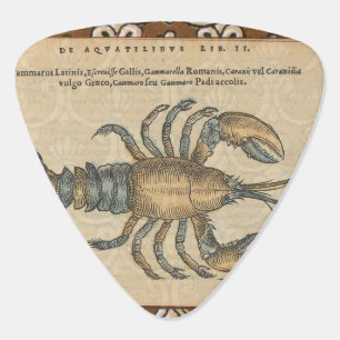 Vintage Lobster Illustration: Coastal Damask Guitar Pick