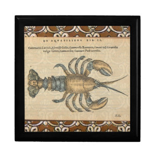 Vintage Lobster Illustration: Coastal Damask Keepsake Box