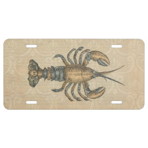 Vintage Lobster Illustration: Coastal Damask  License Plate
