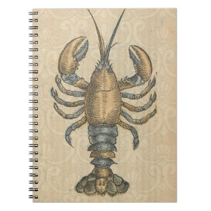 Vintage Lobster Illustration: Coastal Damask  Notebook