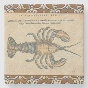 Vintage Lobster Illustration: Coastal Damask Stone Coaster
