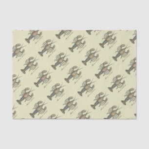 Vintage Lobster Illustration: Coastal Damask Tissue Paper