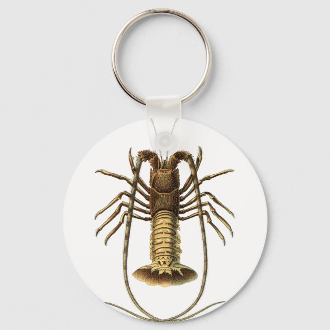 Vintage Lobster Keychain (Front)