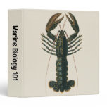 Vintage Lobster, Marine Ocean Life Crustacean 3 Ring Binder