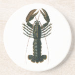 Vintage Lobster, Marine Ocean Life Crustacean Drink Coaster