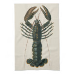 Vintage Lobster, Marine Ocean Life Crustacean Kitchen Towel