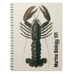 Vintage Lobster, Marine Ocean Life Crustacean Notebook
