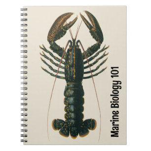 Vintage Lobster, Marine Ocean Life Crustacean Notebook