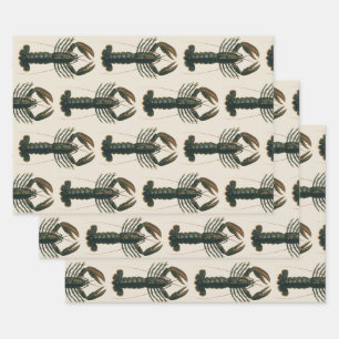 Vintage Lobster, Marine Ocean Life Crustacean Wrapping Paper Sheets