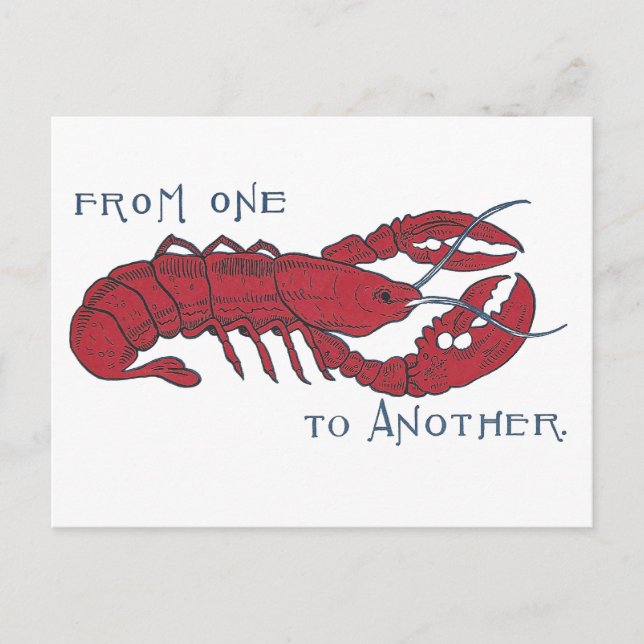 Vintage Lobster Postcard (Front)