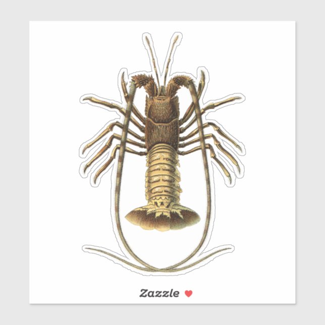 Vintage Lobster Sticker (Sheet)