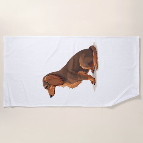 Vintage Long Haired Dachshund Back View Dog Illust Beach Towel