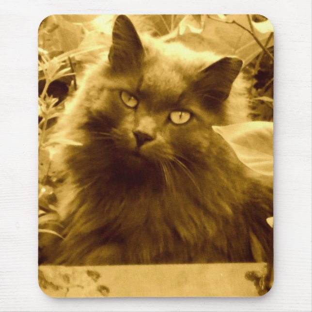 Vintage Long Haired Russian Blue Cat Mouse Pad (Front)