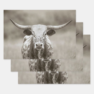 Vintage Longhorn Steer Cattle Decoupage Wrapping Paper Sheets