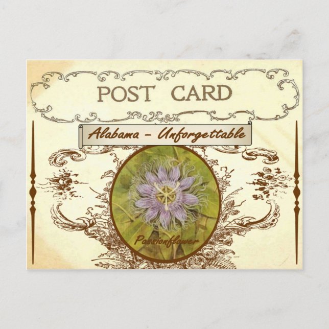 Vintage Look Alabama State Flower Postcard (Front)
