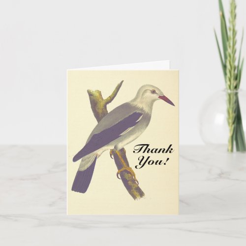 Vintage Look Bird on a Branch Thank You Card